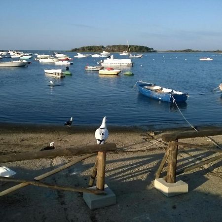 B&B Lady Lucia Porto Cesareo Eksteriør bilde